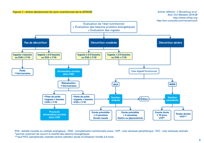 arbre décisionnel du soin nutritionnel de la SFNCM